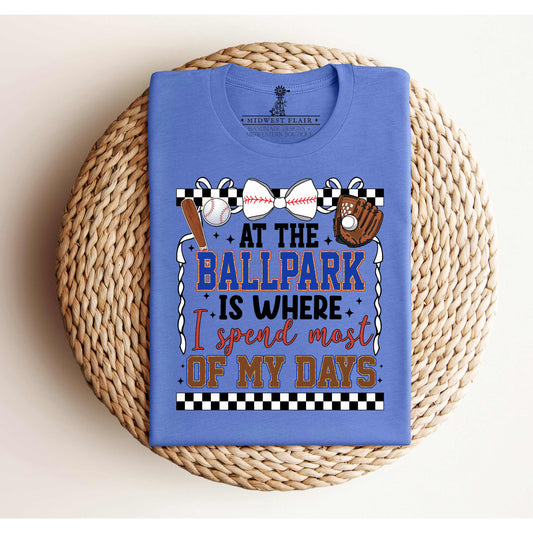 At the Ballpark- Adult Unisex Jersey Short Sleeve Tee