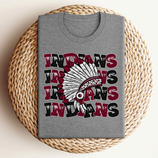 Indians- Unisex Jersey Short Sleeve Tee